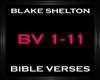Blake S. - Bible Verses