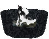 wolfie bed