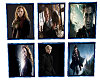 Harry Potter Pictures3