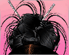 💕 Olivia v2 Black