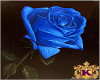 Blue Rain Roses