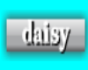 daisy sticker
