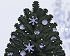 Little Christmas Tree