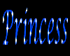 Princess Name Tag