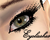 Eye Lashes (Jen Head)