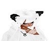 cat's ears black