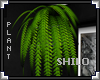 [LyL]Shilo Wall Plant