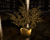 Gold pot plant Derivable