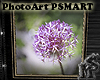 PhotoArt PSMART Flower 2
