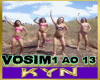 VoSim-kyn