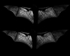 Ghost Bats Flying