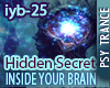 Inside Ur Brain - PsyRMX