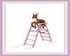 (SS) Deer On Ladder