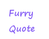{PN} Furry Quote