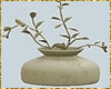 Kawaii Plant