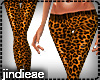 [AE]_LeopardPant_Orange