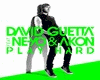 [N] DavidGuetta-PlayHard