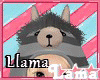 ℒ| Llama Hoody |Jail