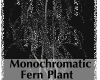 IPJ Monochromatic Fern