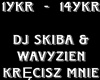 DJ SKIBA KRĘCISZ MNIE