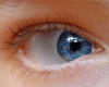 M/F eye movement