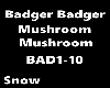 Badger Mushroom Song