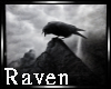 |R| Raven 4