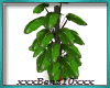 ^Tropical Plant #2