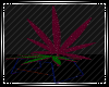 ~CC~Derivable Weed Chair