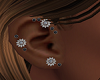DiamondSilverOnyx Ear.
