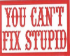 fix stupid
