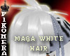 ^P^ Maga   white  hair