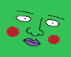 grEEn DuDE Aplus