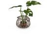 Rattan Bask. Plats