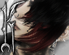 ╋━ ROSEMARY+