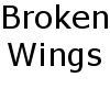 Broken Wings Poem
