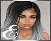 GARIMA ASH DARK ℰ