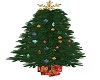oh christmas tree