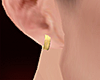 Z. Earring Golden L/R