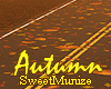 Autumn_Road