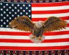 Flag & Eagle