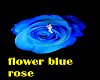 blue floor rose