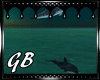 [GB]dolphine\anm