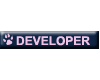 Blue Developer Tag