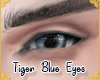!A| Tiger Blue Eyes