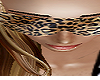Hot Cheetah Sunglasses