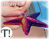 T! Starfish Mouth Shell