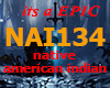 NATIVE AMERICAN INDIAN