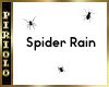 Spider Rain