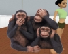 [ML] CHIMPANZEE ENHANCER